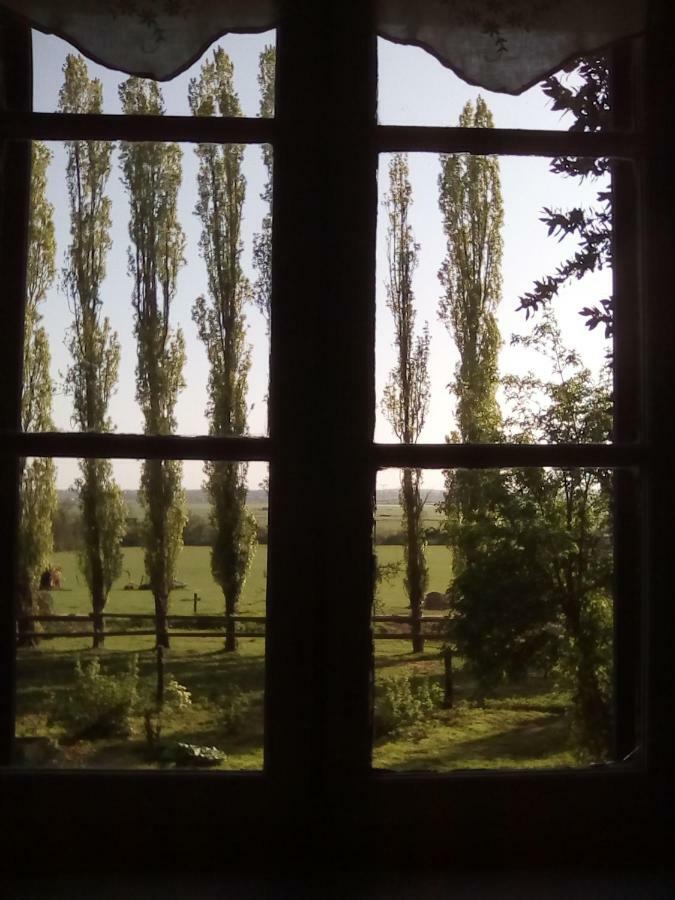 Bed and Breakfast La Ferme Des Vignes Hotot-en-Auge Esterno foto